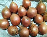 ♻️野菜プレップ｜下処理｜雑学｜①葉茎菜類作り方9写真