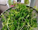 「減らソルト」豆苗とエリンギのツナ炒め作り方1写真