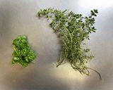 華やかにレモンタイム香る　鮭のパン粉焼き作り方1写真