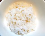 残り物の天ぷら・かき揚げで 「酢天丼」砂糖不使用作り方1写真