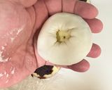 簡単♪もっちり♪手作りいきなり団子作り方8写真