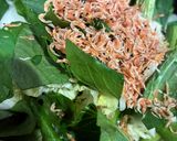 10分で完成！白菜のうま塩糀炒め！作り方2写真