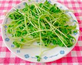 豆苗簡単炒め作り方4写真