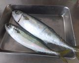 家族の釣果☆鯵の一夜干しを冷凍保存にも作り方7写真