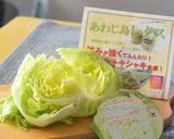 ゆでレタスとスモークサーモンの温サラダ♪作り方1写真