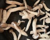 【白い酢豚】はサラダでもメインでも美味！作り方5写真