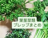 ♻️保存方法｜パセリ🌿ロス削減術｜雑学メモ等♪作り方16写真