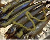 つまみ♡冷めてもふっくら旨い焼きししゃも作り方6写真