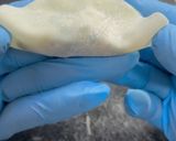 簡単な餃子の作り方~包み方~冷凍保存方法作り方14写真