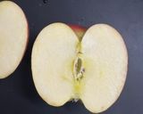 りんごのお花作り方1写真