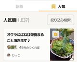 オクラねばねば栄養まるごと頂きます♪作り方13写真