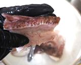 鯛のアラ煮。秘訣は「乾燥ごぼう」！丁寧な作り方作り方3写真