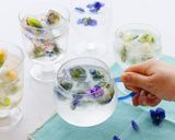 製氷皿でつくる、アロマハーブ氷作り方3写真
