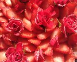 Lovery strawberry rose cakes作り方4写真