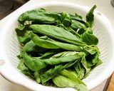 ジェノベーゼソース作り方1写真