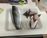 ボラの刺身作り方7写真