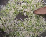春菊と水菜の佃煮風、アレンジ自由作り方4写真