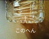 【改】♻️保存法|ブロッコリー🥦ロス削減術作り方3写真