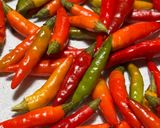 大量の唐辛子🌶️で本場中国式の辛味噌作り作り方1写真