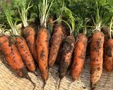 野菜たっぷり！農家のドライカレー作り方2写真