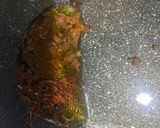 えびとつるむらさきのペペロンチーノ♪作り方4写真