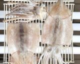 イカの一夜干し おうちで簡単に作れます作り方13写真