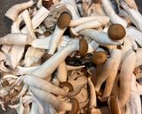 簡単!きのこのバターしょうゆ炒め作り方2写真