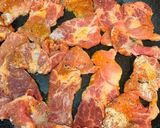 カレー風味♡豚肉のはちみつ醤油照り焼き作り方4写真