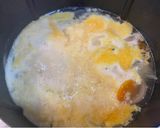 スープ　ミルファンティ作り方3写真