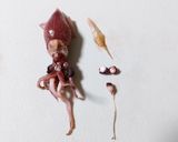 ホタルイカと春キャベツの塩麴炒め作り方1写真