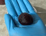 【本格】本わらび粉で本わらびまんじゅう作り方2写真