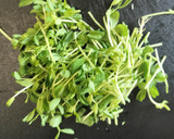 豆苗としらすの卵炒め作り方1写真