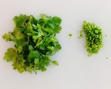 パクチー香るヘルシーパッタイ作り方3写真