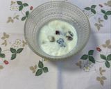 ドライフルーツと蜂蜜でヨーグルトを作り方13写真