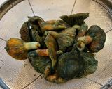 ハツタケの佃煮作り方1写真
