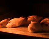 本格！自家製ベーコンエピ♪手作りパン作り方9写真