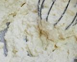 ヘルシーきな粉ガトー餅作り方1写真