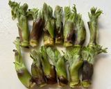 タラの芽の天ぷら作り方1写真