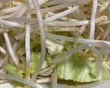 二郎系 麺ナシナシ野菜マシマシ作り方3写真