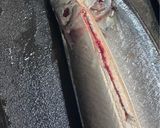 皮パリッ！ふっくら秋刀魚の塩焼き｜オーブンで簡単作り方1写真