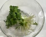 レンチンかいわれ大根作り方1写真