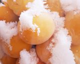 しょっぱい梅干しの作り方☆塩漬けの仕方作り方5写真