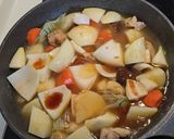 鶏肉じゃが作り方9写真