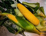美味しい❤蒸し茹で🌽とうもろこし🌽作り方1写真