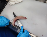 魚の皮引きと刺身のおろし方 魚市場直伝作り方2写真