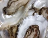 殻付き 牡蠣の酒蒸し🦪作り方6写真