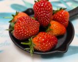 フレッシュ苺のパウンドケーキ作り方9写真