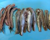 イワシのオーブン焼き作り方1写真