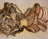 バターライスで！きのこクリームオムライス作り方5写真
