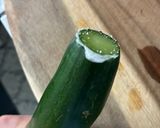 簡単やみつき無限きゅうり♾作り方1写真